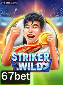 StrikerWILD: Uma Nova Dimensão em Entretenimento Digital